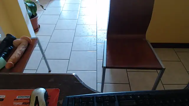 69porcellone69 online show from 13, 2, 2025