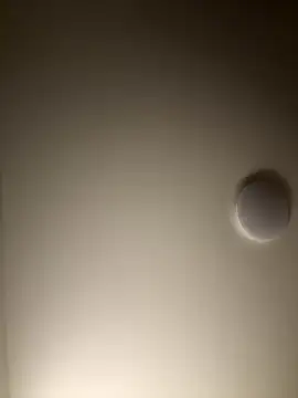 Snapshot of Dreamer553 chatting on 4, 12, 2025 Dreamer553 online show from 4, 12, 2025