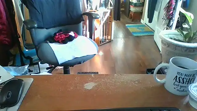 Daremeknot online show from 2, 10, 2025