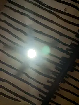 Snapshot of petiteebony_81 chatting on 26, 11, 2025 petiteebony 81 online show from 26, 11, 2025