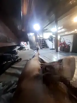 Snapshot of Jhon22z chatting on 23, 2, 2026 Jhon22z online show from 23, 2, 2026