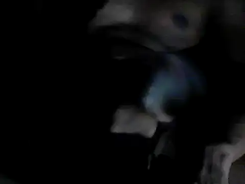 GRATEFUL16 online show from 6, 2, 2025