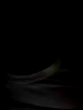 Snapshot of Mr_Perfect_Man chatting on 8, 1, 2025 Mr Perfect Man online show from 8, 1, 2025