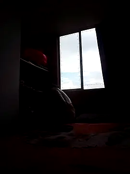 Cameron puppy online show from 15, 11, 2025