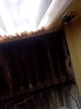 Snapshot of dantero chatting on 27, 2, 2025 dantero online show from 27, 2, 2025