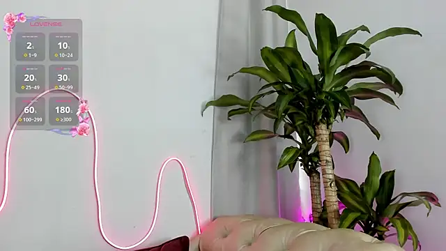 Jentokio online show from 15, 10, 2025