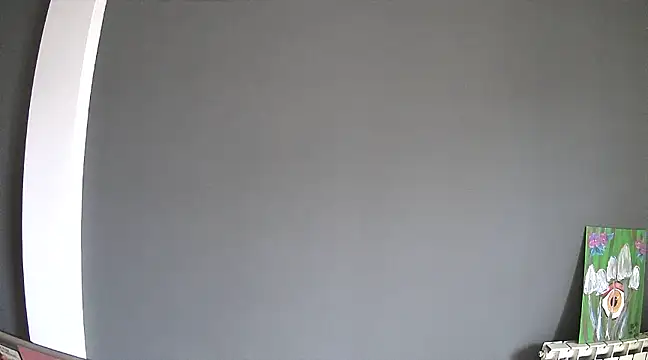 stupid babybird online show from 30, 1, 2025