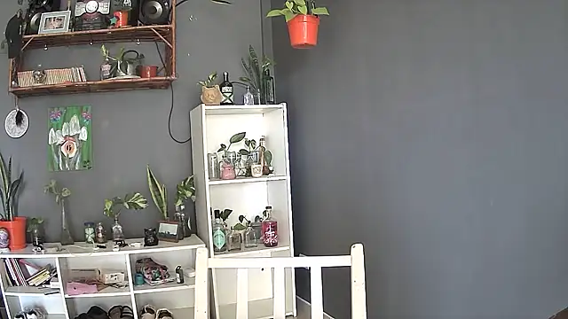 stupid babybird online show from 5, 3, 2025