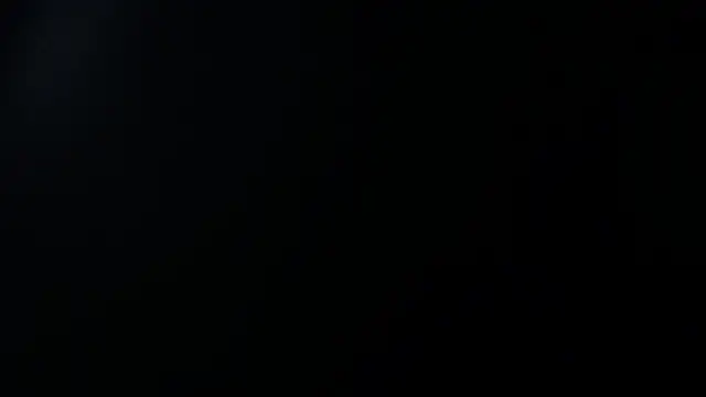 sara winehouse1 online show from 4, 1, 2025