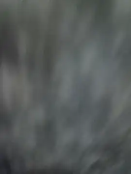 NaiveAlly5 online show from 25, 9, 2025