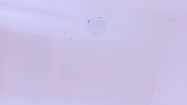 Snapshot of LoveQueen2 chatting on 20, 3, 2026 LoveQueen2 online show from 20, 3, 2026