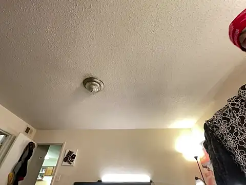 4EVAGLACIERS online show from 19, 1, 2025