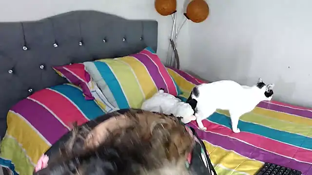 Chantal hott online show from 18, 10, 2025