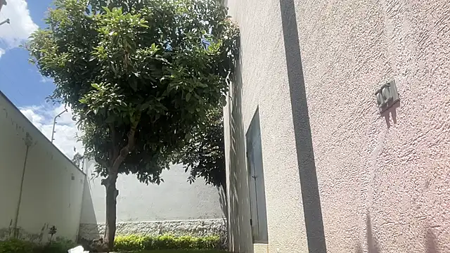 ChocolateCakeQueen online show from 11, 11, 2025