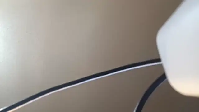 EXOTICLEXXXI online show from 2, 2, 2026