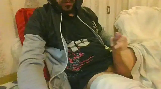 tozebrito hd online show from 14, 12, 2024