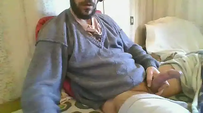 tozebrito hd online show from 27, 12, 2024