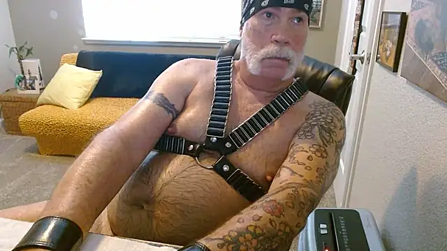 Snapshot of musclebearnips chatting on 23, 6, 2026 musclebearnips online show from 23, 6, 2026