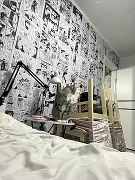 Snapshot of Minami_686 chatting on 9, 12, 2024 Minami 686 online show from 9, 12, 2024