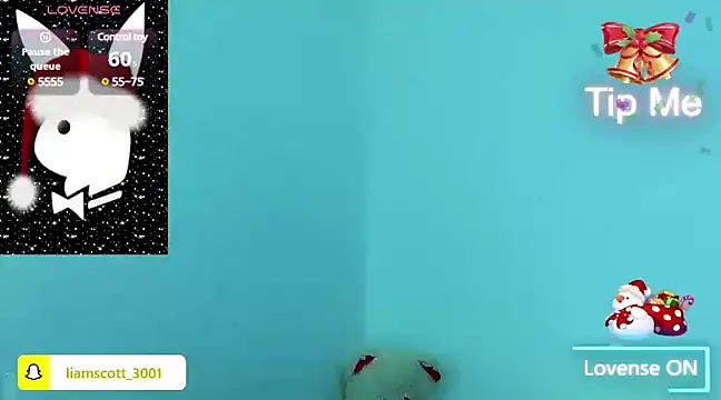 Snapshot of Liamscott_ chatting on 22, 12, 2024 Liamscott online show from 22, 12, 2024