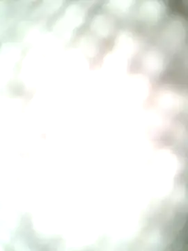 molozeb online show from 12, 10, 2025