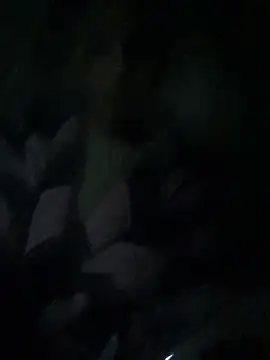 Snapshot of ChantalXOrchid chatting on 4, 4, 2026 ChantalXOrchid online show from 4, 4, 2026