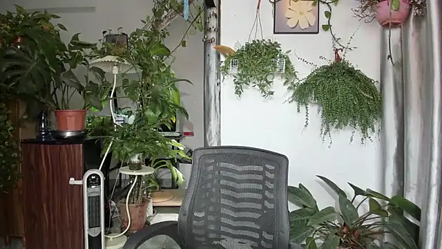 Oliver Nl online show from 16, 4, 2026