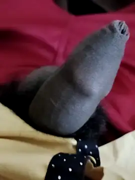 Snapshot of Ashish02345 chatting on 6, 12, 2024 Ashish02345 online show from 6, 12, 2024