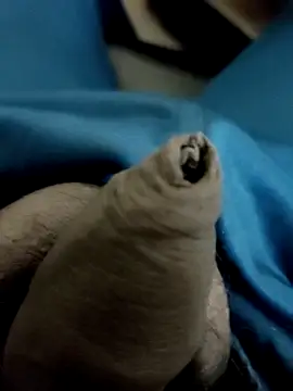 Snapshot of Ashish02345 chatting on 28, 1, 2025 Ashish02345 online show from 28, 1, 2025