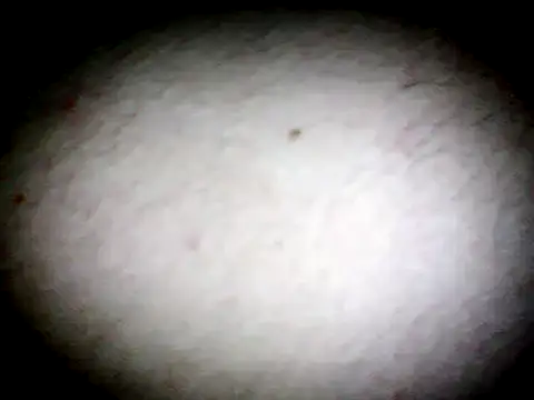 Snapshot of anald66666 chatting on 13, 1, 2025 anald66666 online show from 13, 1, 2025