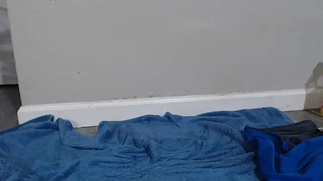 Dogz n daugthers online show from 17, 12, 2024