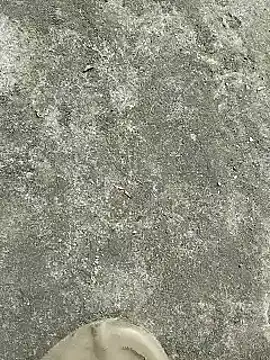 rana cute online show from 22, 12, 2024