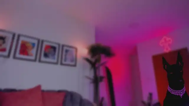 Snapshot of Taylor__foxxx chatting on 14, 11, 2025 Taylor foxxx online show from 14, 11, 2025