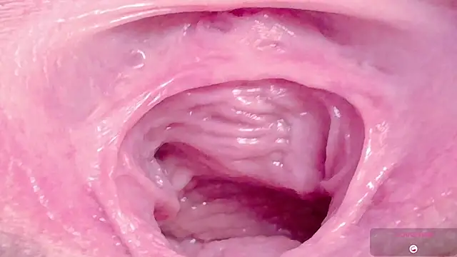 Alu ryu online show from 6, 3, 2026