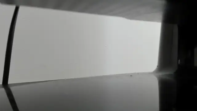 Alejandra Dunn online show from 3, 10, 2025