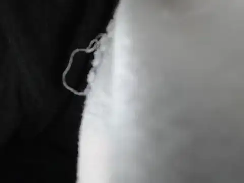 Snapshot of IMAGatMARK chatting on 27, 11, 2025 IMAGatMARK online show from 27, 11, 2025