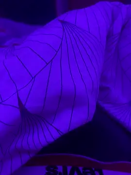 Snapshot of Maxxxooouuu chatting on 1, 3, 2026 Maxxxooouuu online show from 1, 3, 2026