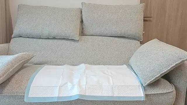 Ema japanese online show from 20, 11, 2025