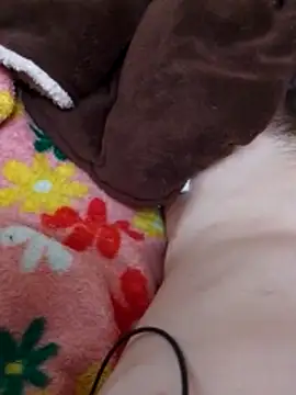 Adee21e online show from 3, 12, 2025