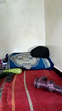 Snapshot of trans511 chatting on 9, 10, 2025 trans511 online show from 9, 10, 2025