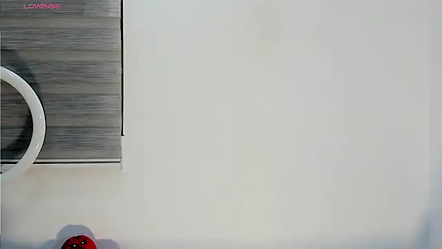 bella hadid1  online show from 11, 11, 2025