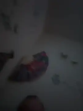 Snapshot of PnP4U2 chatting on 16, 1, 2026 PnP4U2 online show from 16, 1, 2026