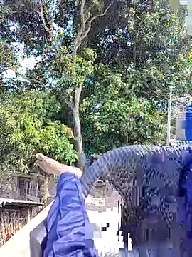 Snapshot of ErRakesh1 chatting on 10, 11, 2025 ErRakesh1 online show from 10, 11, 2025