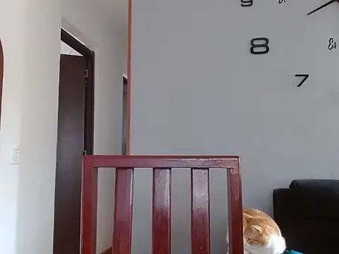 Laura martin  online show from 5, 2, 2025