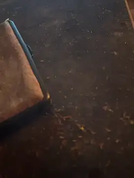 Snapshot of FreshWonder0 chatting on 17, 11, 2025 FreshWonder0 online show from 17, 11, 2025