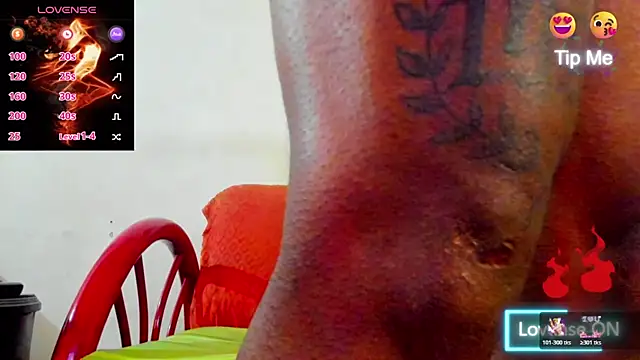 wotton 17 online show from 21, 12, 2025