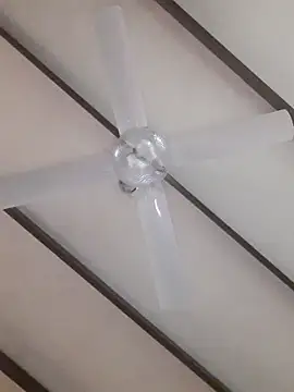 TuBandi2 online show from 11, 11, 2025