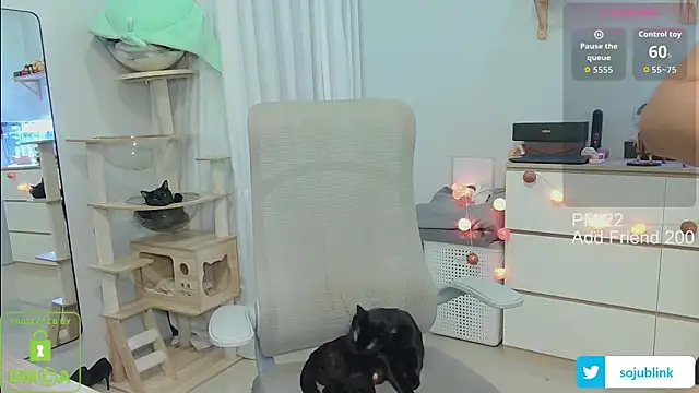 littlemiilk online show from 13, 1, 2026