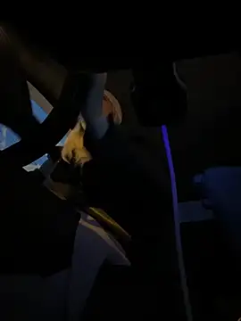 Snapshot of MerlinDave chatting on 5, 11, 2025 MerlinDave online show from 5, 11, 2025