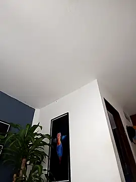 SilvaBranko online show from 20, 12, 2025